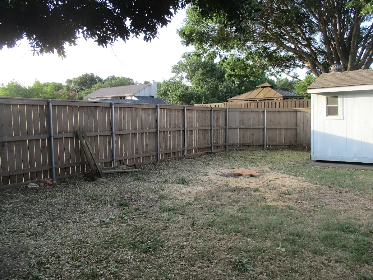 Cleared yard after professional tree removal in Barnesville