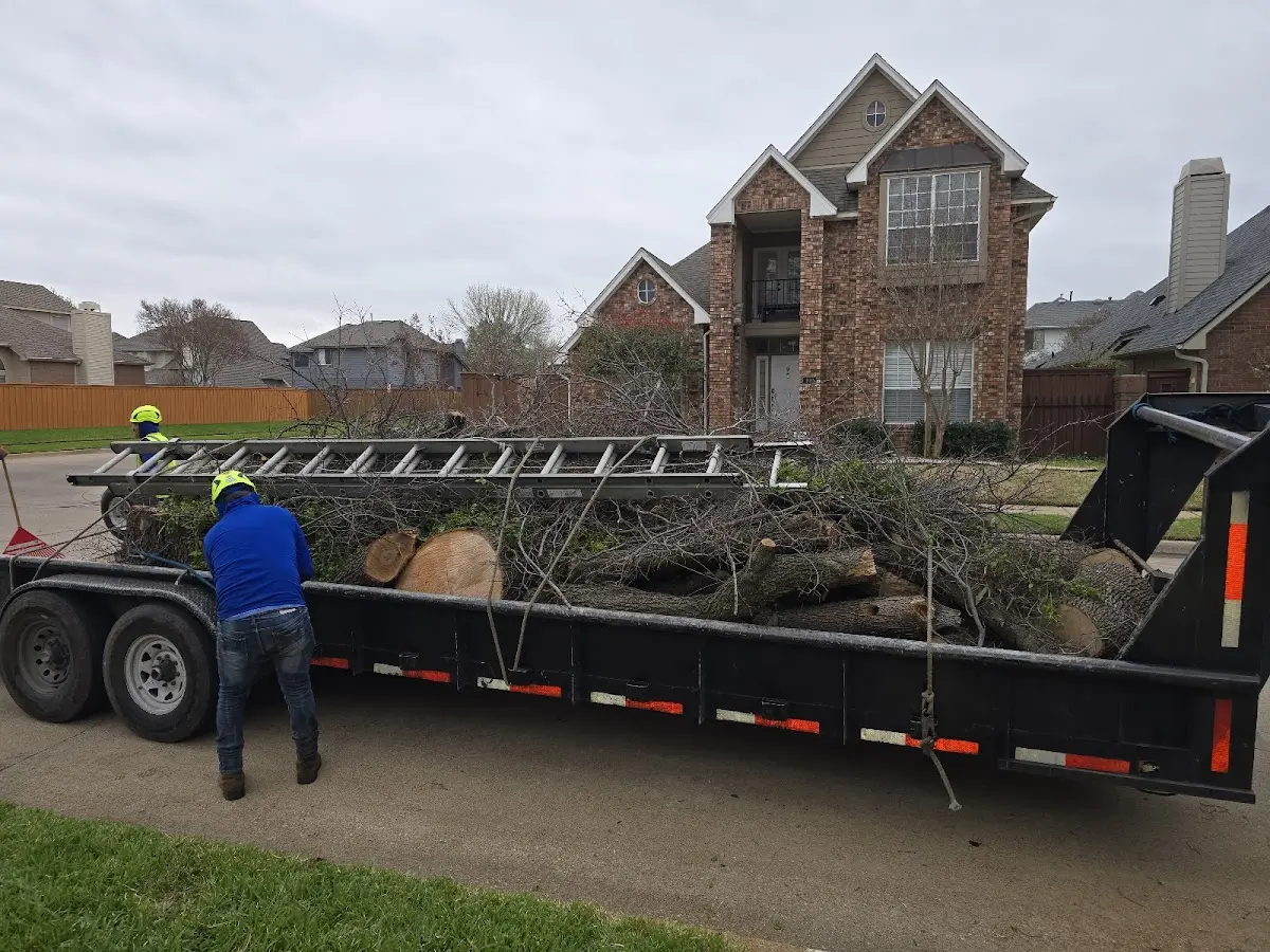 Expert Tree Fertilization with proper safety equipment in Barnesville